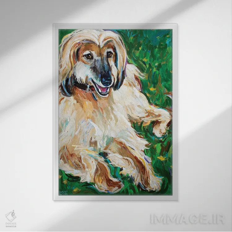 تابلو دکوراتیو سگ تازی افغان اثر رابرت فلپس - نمای قابدار سفید