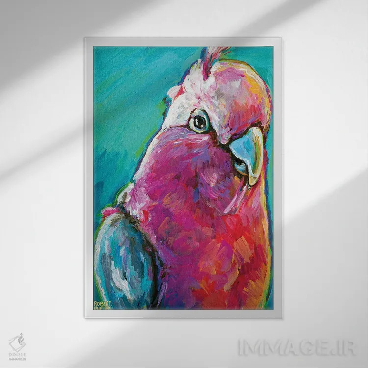 تابلو دکوراتیو گالا اثر رابرت فلپس - نمای قابدار سفید