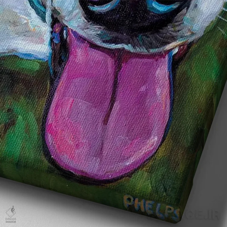 تابلو دکوراتیو بلا اثر رابرت فلپس - نمای نزدیک بافت بوم