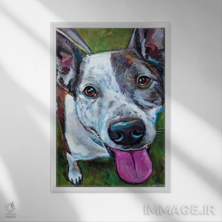 تابلو دکوراتیو بلا اثر رابرت فلپس - نمای قابدار سفید