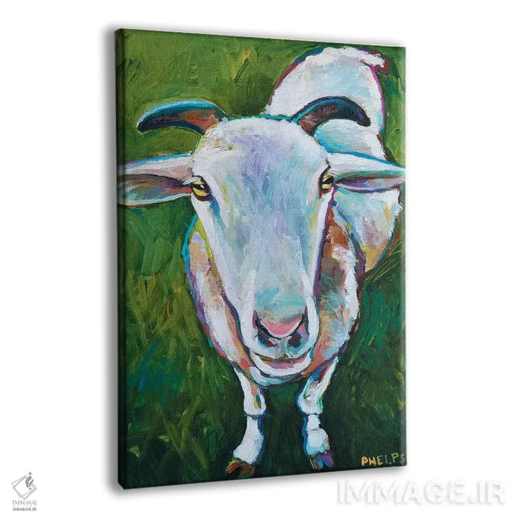 تابلو دکوراتیو گوسفند اثر رابرت فلپس - نمای پرسپکتیو محصول