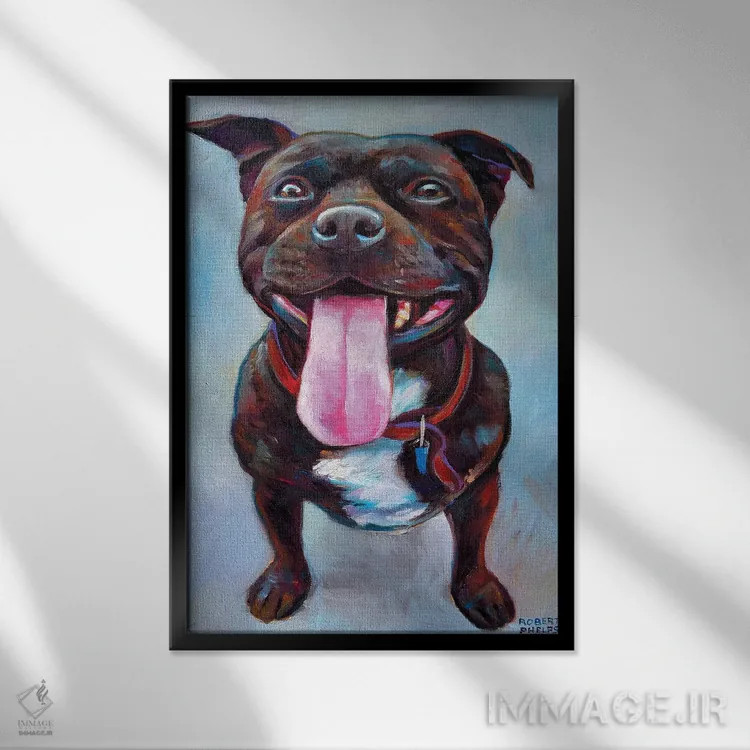 تابلو دکوراتیو پیتبول اثر رابرت فلپس - نمای قابدار مشکی