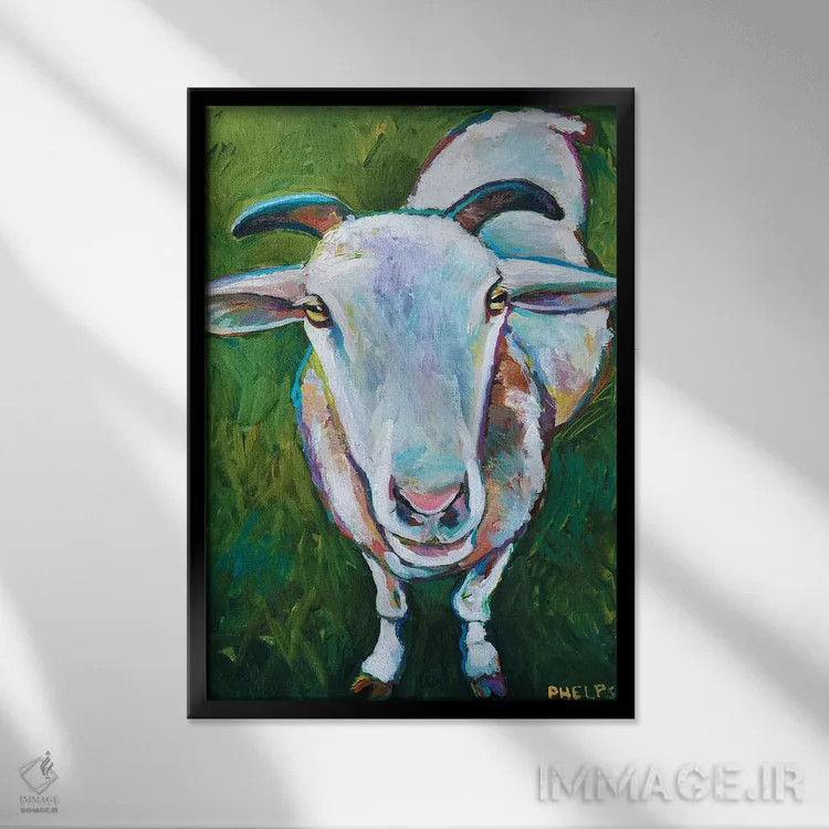 تابلو دکوراتیو گوسفند اثر رابرت فلپس - نمای قابدار مشکی