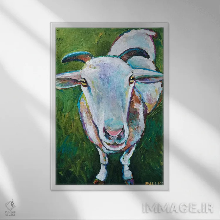 تابلو دکوراتیو گوسفند اثر رابرت فلپس - نمای قابدار سفید