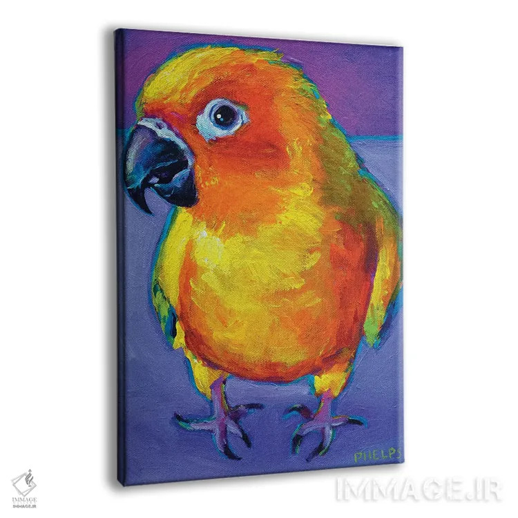 تابلو دکوراتیو طوطی آفتابی اثر رابرت فلپس - نمای پرسپکتیو محصول