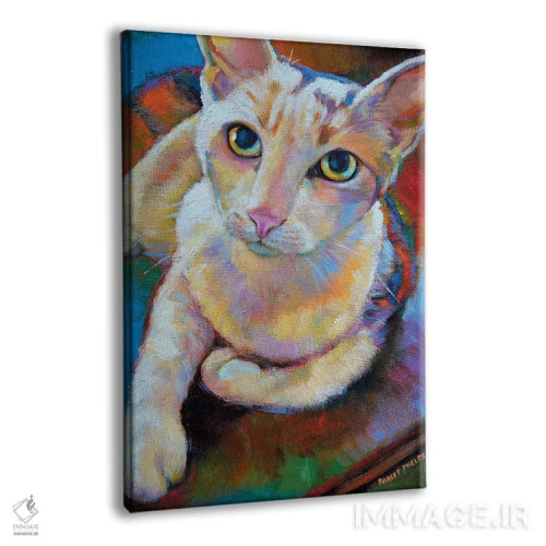 تابلو دکوراتیو گربه سفید اثر رابرت فلپس - نمای پرسپکتیو محصول