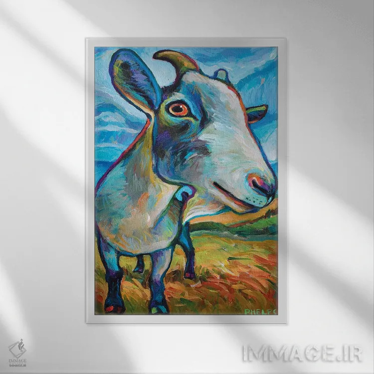 تابلو دکوراتیو بز وان اثر رابرت فلپس - نمای قابدار سفید