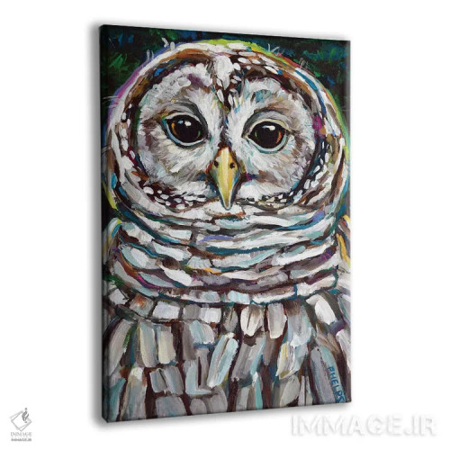 تابلو دکوراتیو جغد راه راه اثر رابرت فلپس - نمای پرسپکتیو محصول