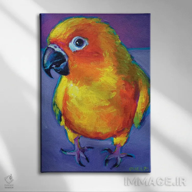 تابلو دکوراتیو طوطی آفتابی اثر رابرت فلپس - نمای روبهرو روی دیوار