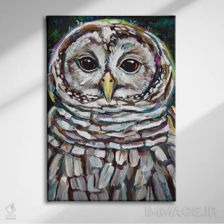 تابلو دکوراتیو جغد راه راه اثر رابرت فلپس - نمای روبهرو روی دیوار