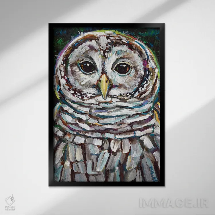 تابلو دکوراتیو جغد راه راه اثر رابرت فلپس - نمای قابدار مشکی