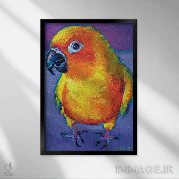 تابلو دکوراتیو طوطی آفتابی اثر رابرت فلپس - نمای قابدار مشکی