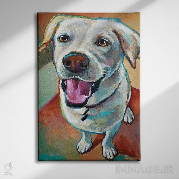 تابلو دکوراتیو لابرادور بلوند اثر رابرت فلپس - نمای روبهرو روی دیوار