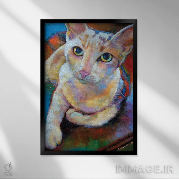 تابلو دکوراتیو گربه سفید اثر رابرت فلپس - نمای قابدار مشکی