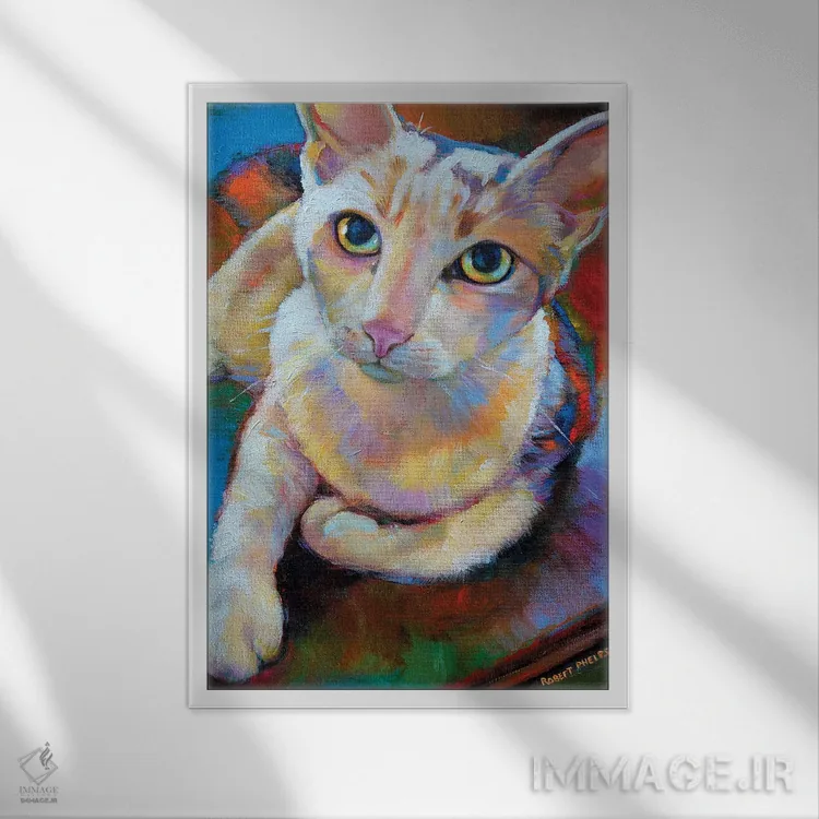 تابلو دکوراتیو گربه سفید اثر رابرت فلپس - نمای قابدار سفید