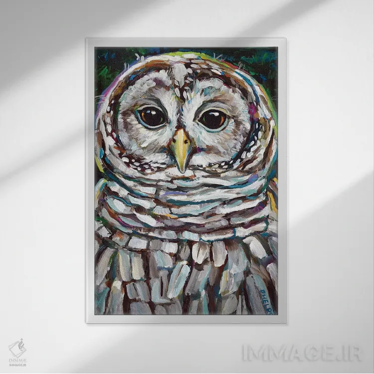 تابلو دکوراتیو جغد راه راه اثر رابرت فلپس - نمای قابدار سفید