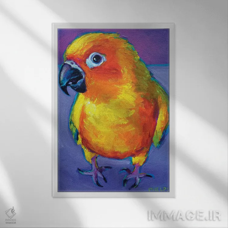 تابلو دکوراتیو طوطی آفتابی اثر رابرت فلپس - نمای قابدار سفید