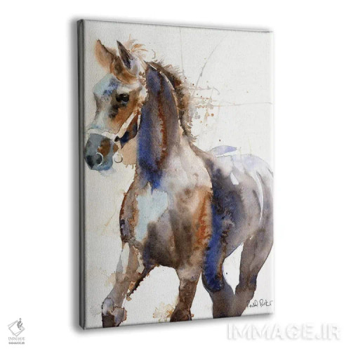 تابلو دکوراتیو کره اسب یک ساله فریزیان اثر ریچل پارکر - نمای پرسپکتیو محصول