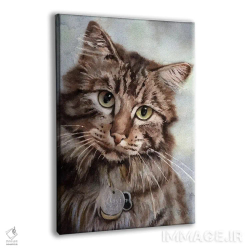 تابلو دکوراتیو چشم های مین کون اثر ریچل پارکر - نمای پرسپکتیو محصول