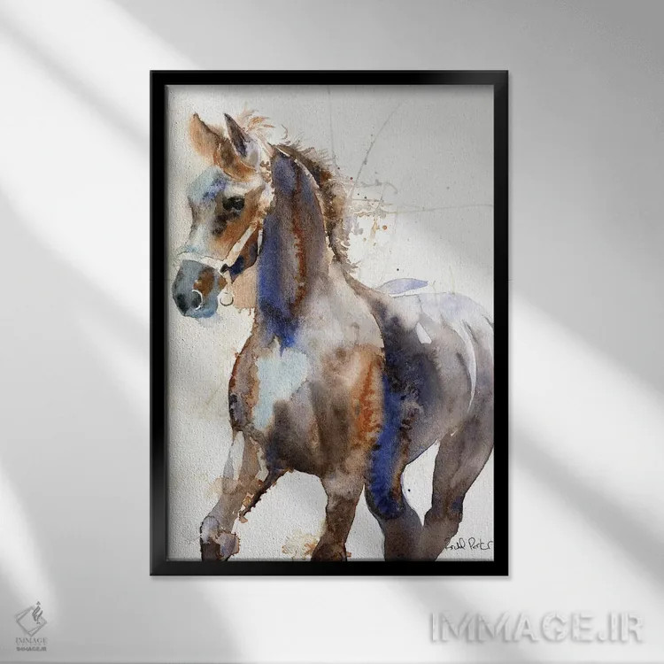 تابلو دکوراتیو کره اسب یک ساله فریزیان اثر ریچل پارکر - نمای قابدار مشکی