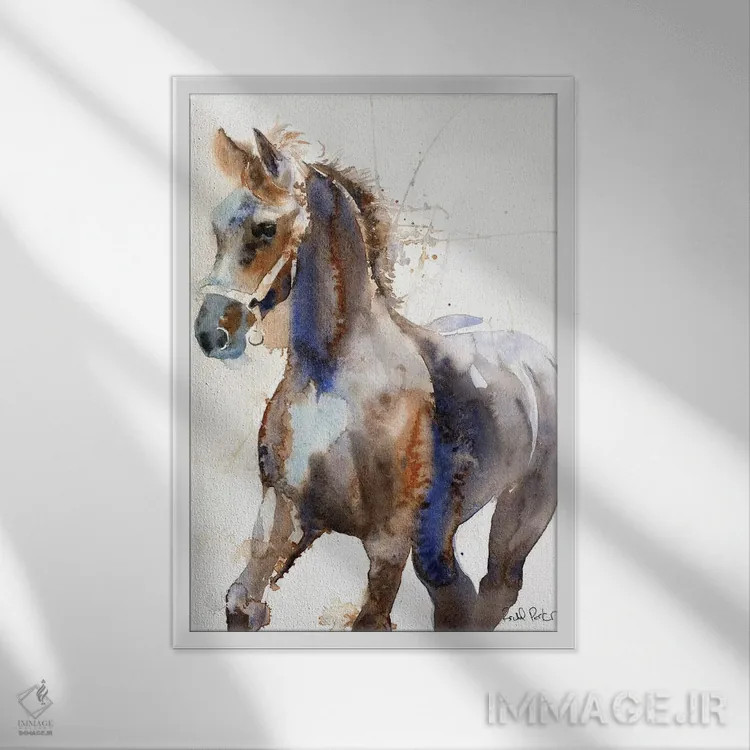 تابلو دکوراتیو کره اسب یک ساله فریزیان اثر ریچل پارکر - نمای قابدار سفید