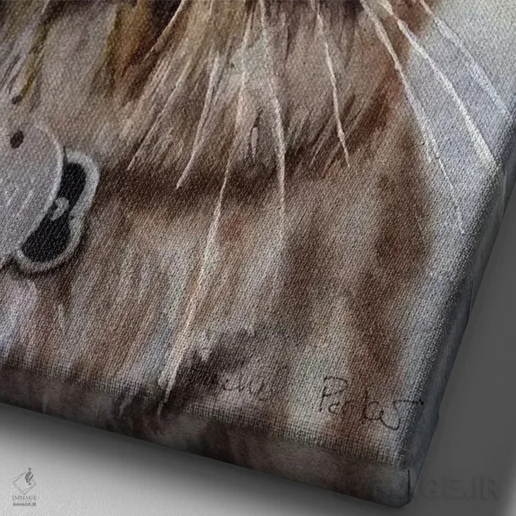 تابلو دکوراتیو چشم های مین کون اثر ریچل پارکر - نمای نزدیک بافت بوم