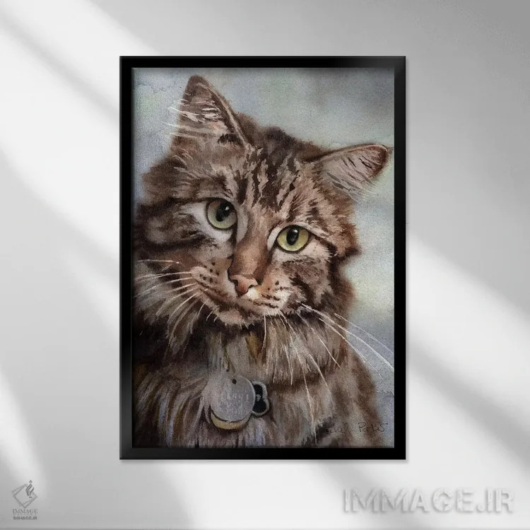 تابلو دکوراتیو چشم های مین کون اثر ریچل پارکر - نمای قابدار مشکی