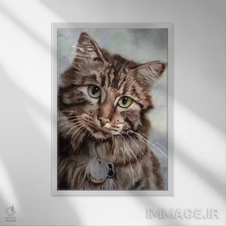 تابلو دکوراتیو چشم های مین کون اثر ریچل پارکر - نمای قابدار سفید