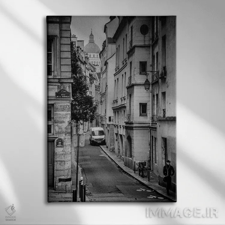 تابلو دکوراتیو خیابان بیور پاریس اثر رز پالنیسانو - نمای روبهرو روی دیوار