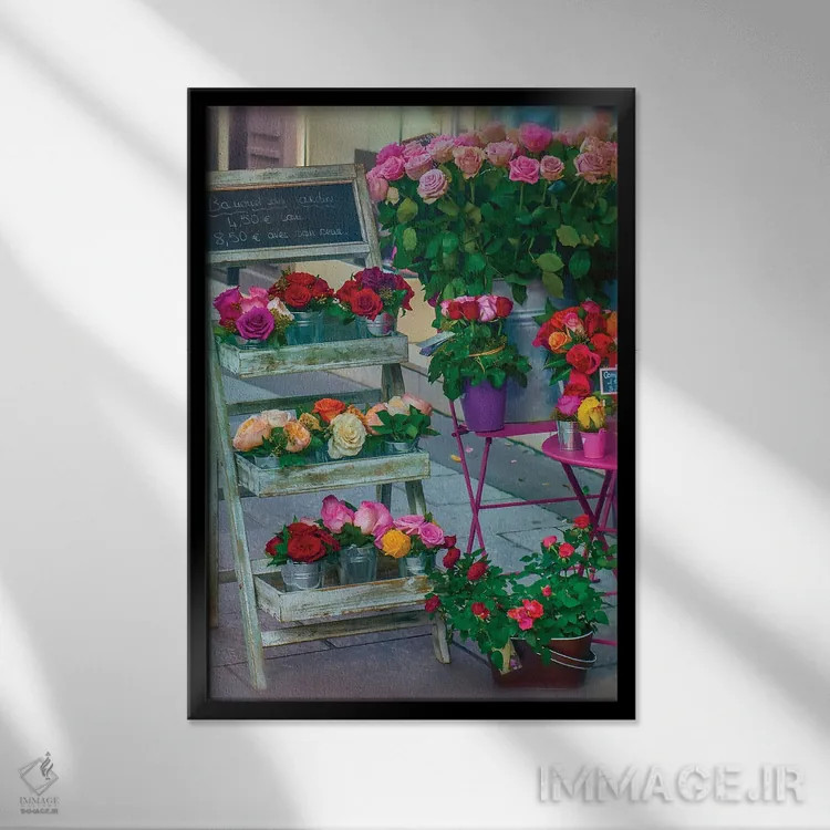 تابلو دکوراتیو رزهای پاریس در زمستان اثر رز پالنیسانو - نمای قابدار مشکی