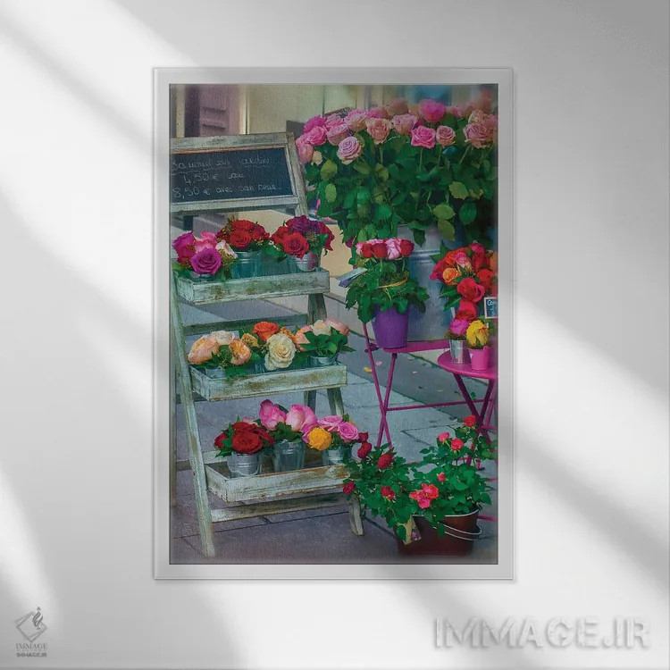 تابلو دکوراتیو رزهای پاریس در زمستان اثر رز پالنیسانو - نمای قابدار سفید