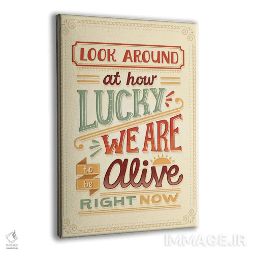 تابلو دکوراتیو همیلتون ۷ اثر ریزا رودیل - نمای پرسپکتیو محصول