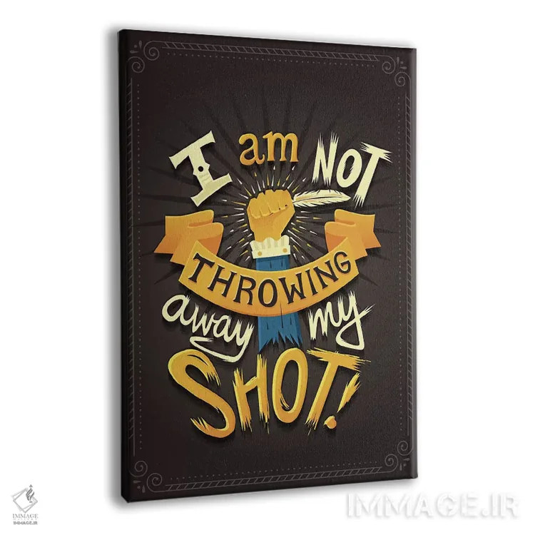 تابلو دکوراتیو همیلتون ۸ اثر ریزا رودیل - نمای پرسپکتیو محصول