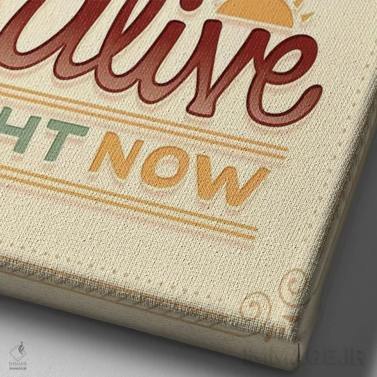 تابلو دکوراتیو همیلتون ۷ اثر ریزا رودیل - نمای نزدیک بافت بوم