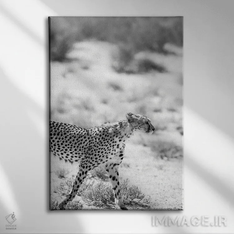 تابلو دکوراتیو گربه سافاری اثر عکس های کلینت - نمای روبهرو روی دیوار