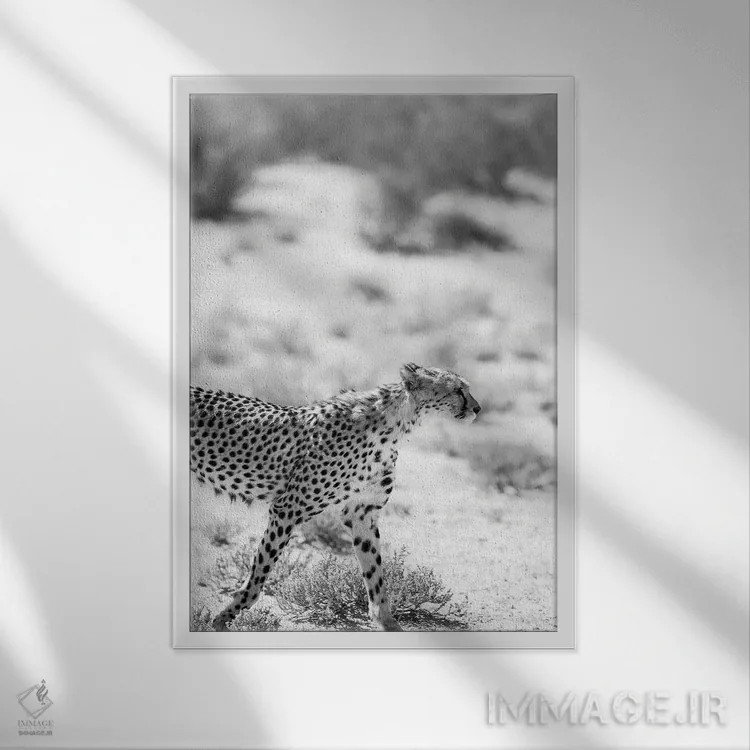 تابلو دکوراتیو گربه سافاری اثر عکس های کلینت - نمای قابدار سفید
