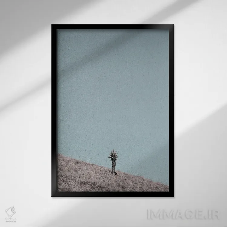تابلو مینیمال سرباز اثر عکس های کلینت - نمای قابدار مشکی
