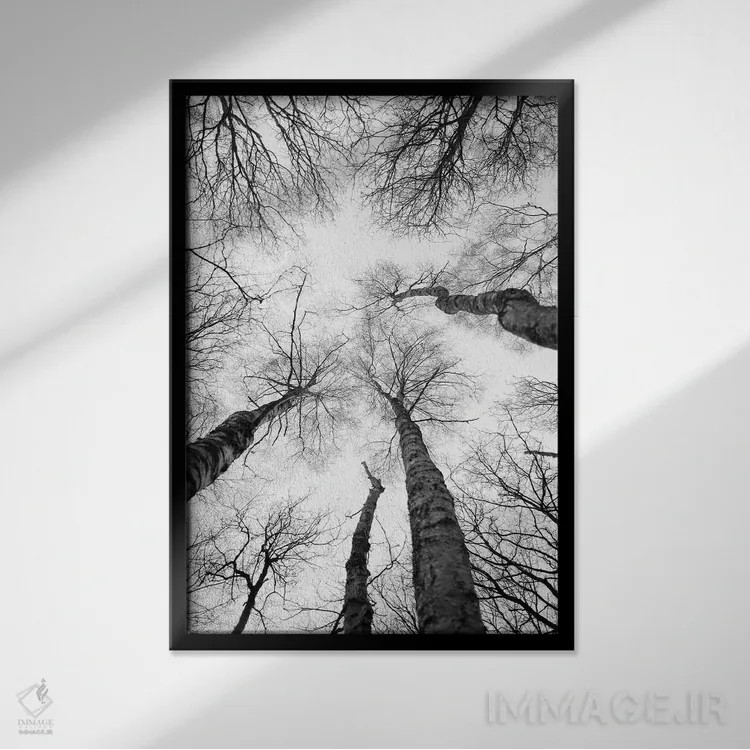 تابلو دکوراتیو مطالعه درخت شماره ۷ اثر عکس های کلینت - نمای قابدار مشکی