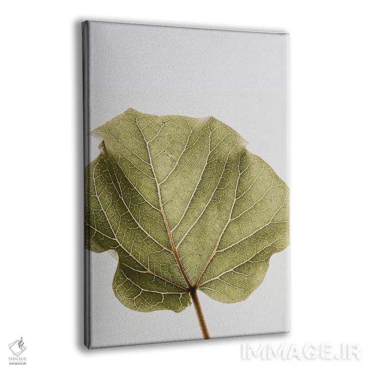 تابلو دکوراتیو ابوتیفولیا ۳ اثر عکس های کلینت - نمای پرسپکتیو محصول