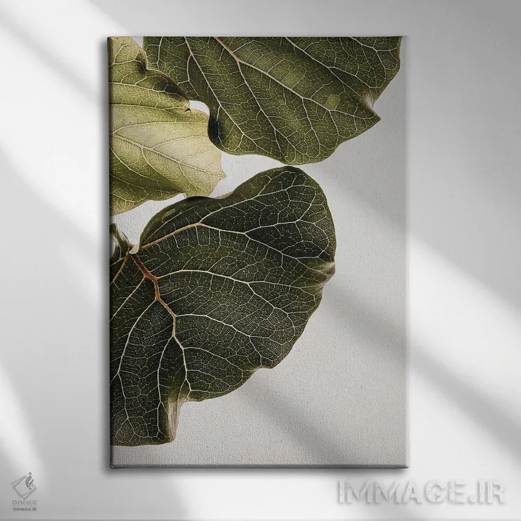 تابلو دکوراتیو ابوتیفولیا ۱ اثر عکس های کلینت - نمای روبهرو روی دیوار