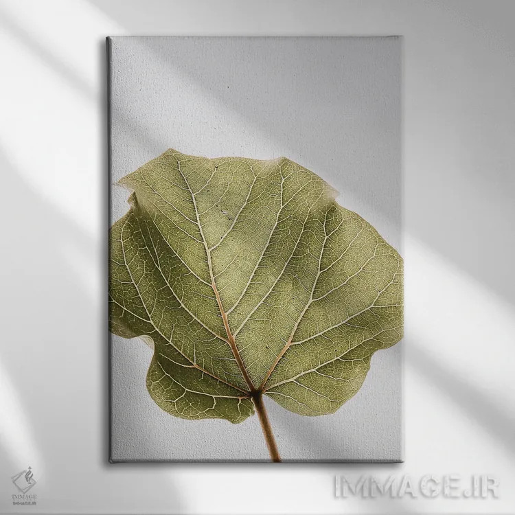 تابلو دکوراتیو ابوتیفولیا ۳ اثر عکس های کلینت - نمای روبهرو روی دیوار