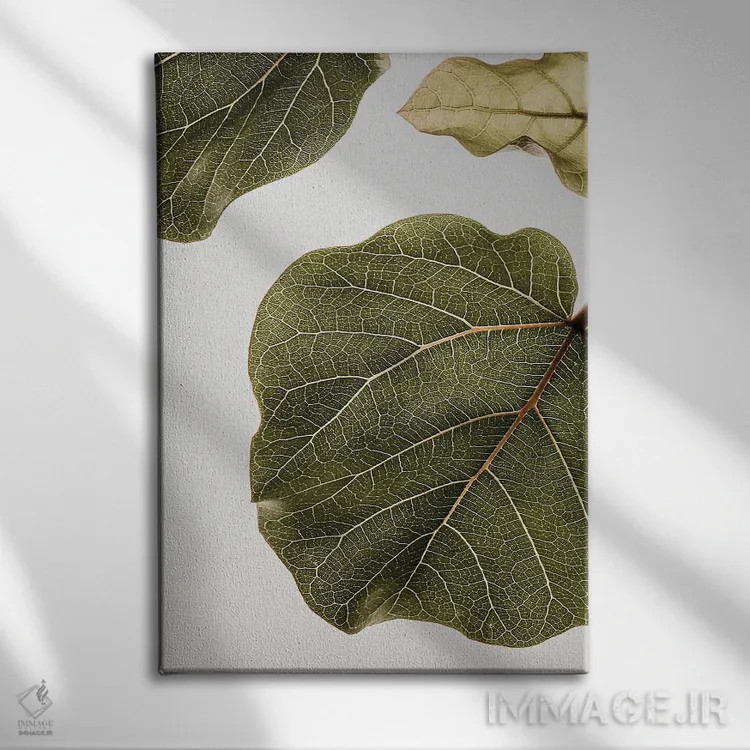تابلو دکوراتیو ابوتیفولیا ۲ اثر عکس های کلینت - نمای روبهرو روی دیوار