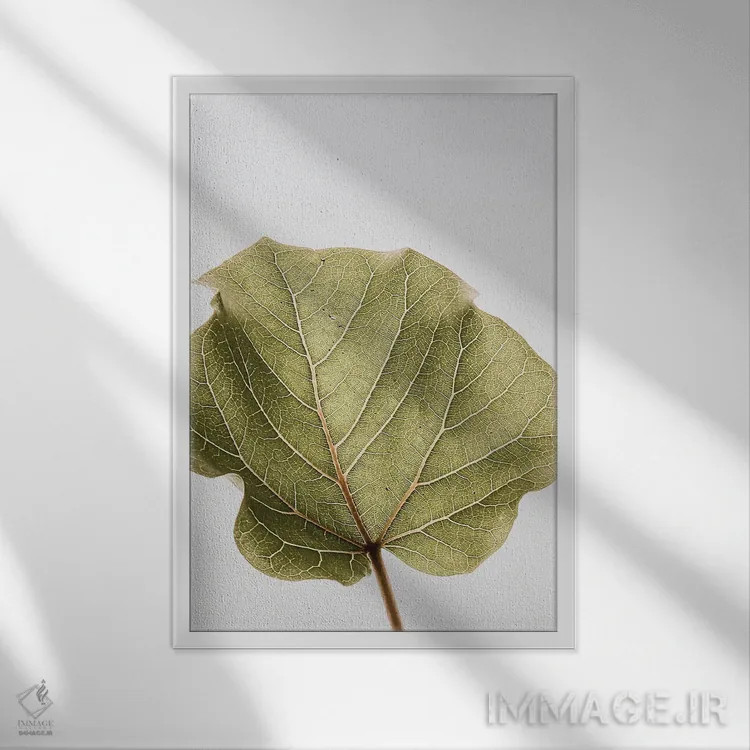 تابلو دکوراتیو ابوتیفولیا ۳ اثر عکس های کلینت - نمای قابدار سفید