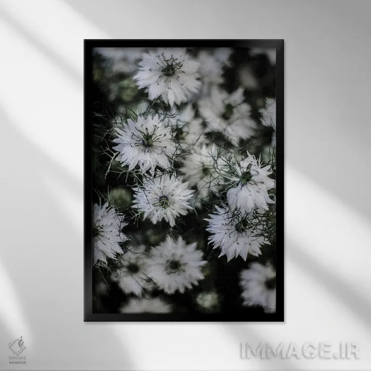 تابلو دکوراتیو گل مینا وحشی اثر عکس های کلینت - نمای قابدار مشکی