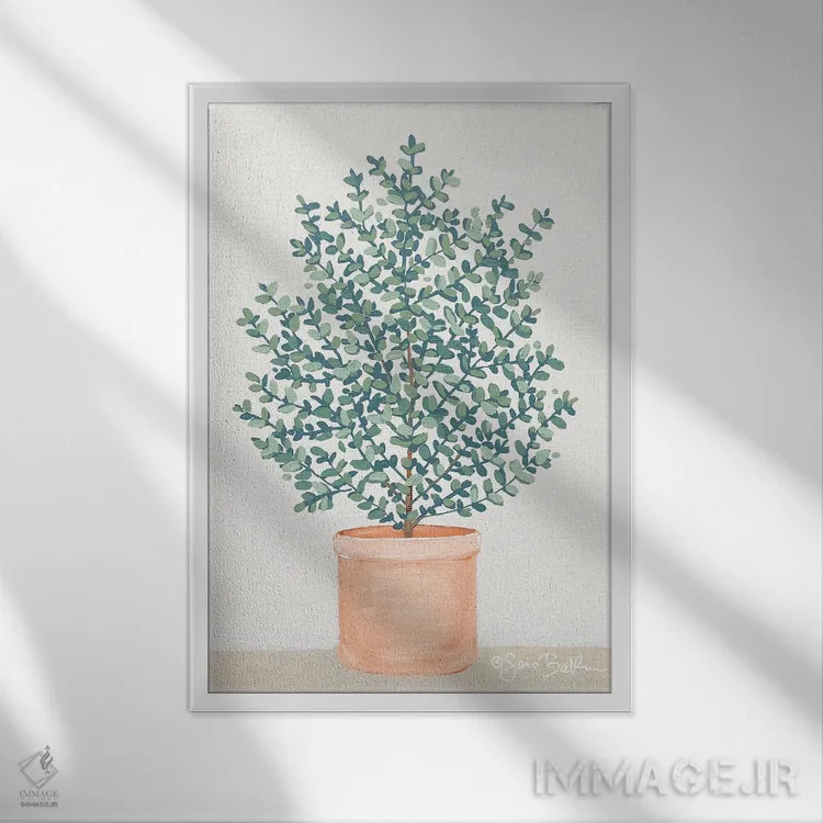 تابلو مینیمال اوکالیپتوس اثر سارا بیکر - نمای قابدار سفید