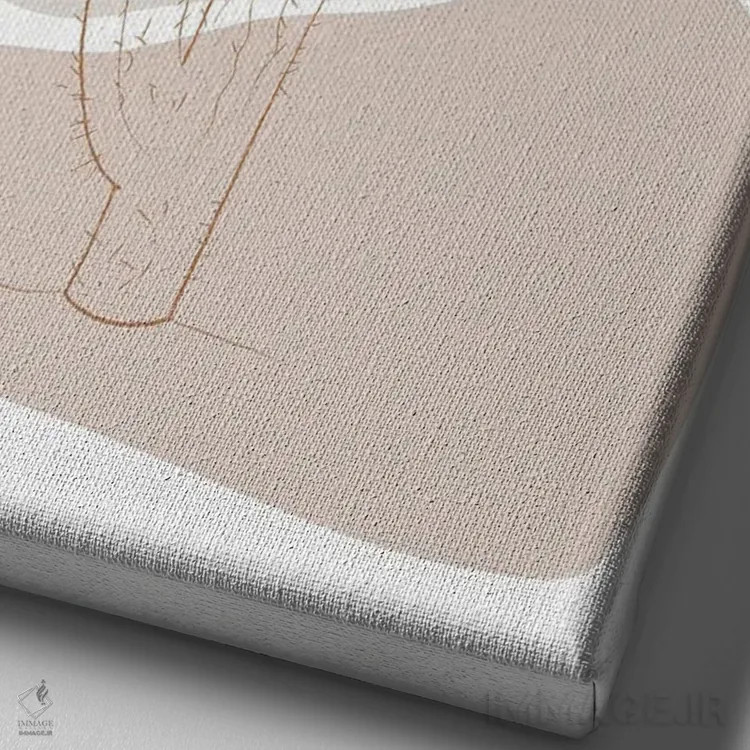 تابلو مینیمال کاکتوس مینیمال اثر سابرینا بالبوئنا - نمای نزدیک بافت بوم