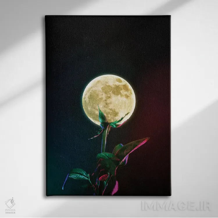 تابلو دکوراتیو گل ماه اثر سیم لس - نمای روبهرو روی دیوار