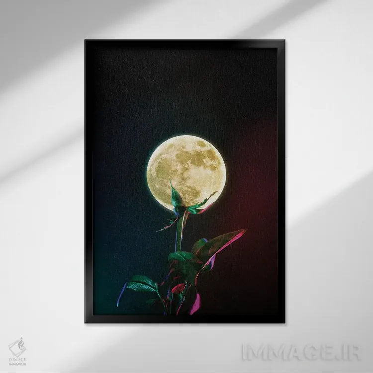 تابلو دکوراتیو گل ماه اثر سیم لس - نمای قابدار مشکی