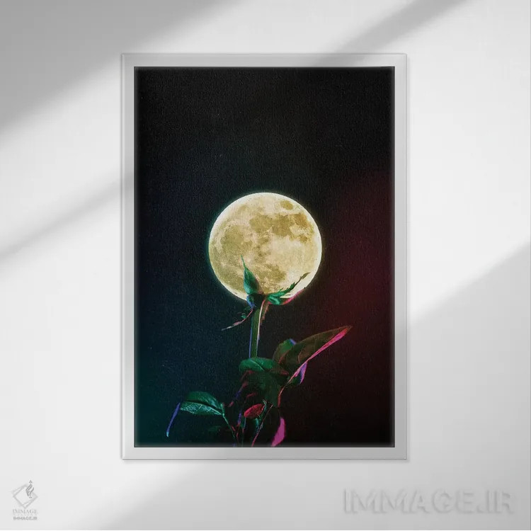 تابلو دکوراتیو گل ماه اثر سیم لس - نمای قابدار سفید