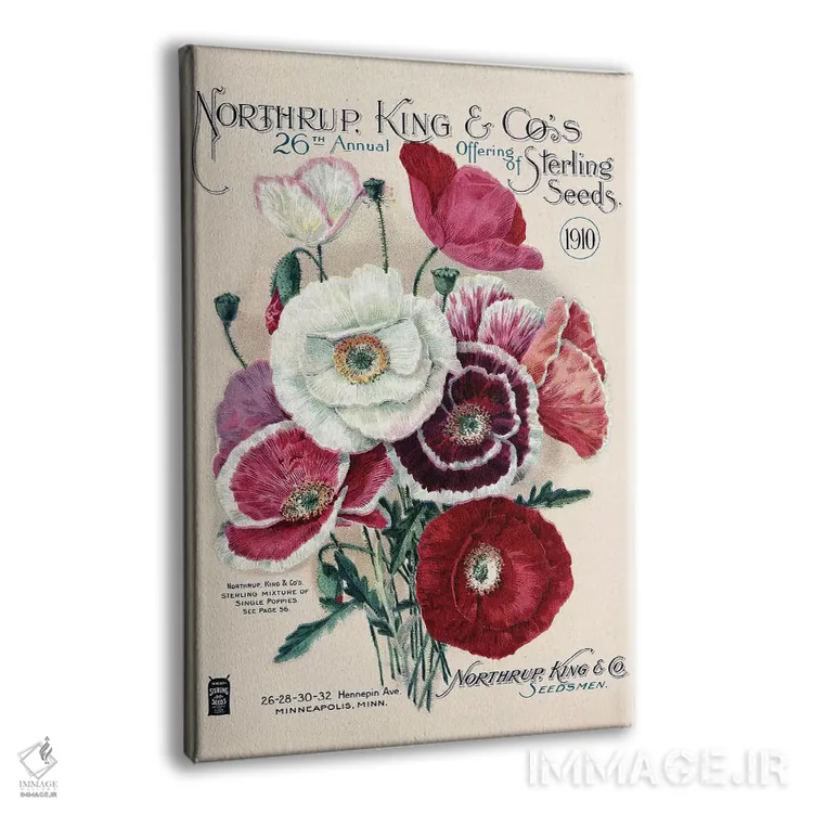تابلو دکوراتیو بذر استرلینگ، 1910، از کتابخانه باغبانی آندرسن اثر پیدیکس - نمای پرسپکتیو محصول